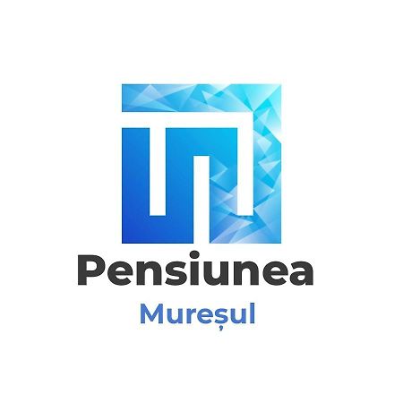 Pensiunea Muresul Târgu-Mureş Extérieur photo