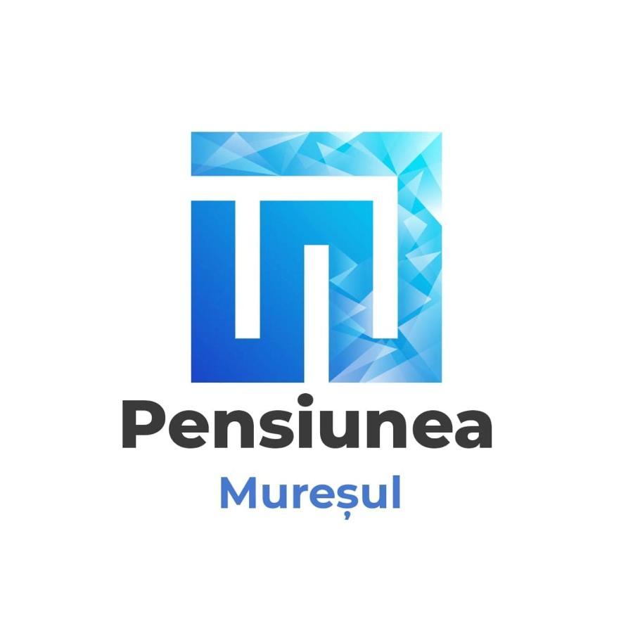Pensiunea Muresul Târgu-Mureş Extérieur photo